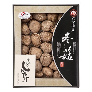 �|�c �P���Y���X �啪���Y�ő� �~��(�ǂ�) (DO-40)